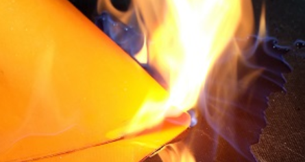 红足1—世足球网