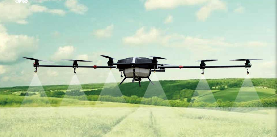 红足1—世足球网