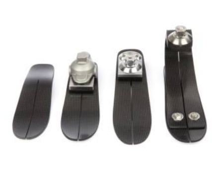 红足1—世足球网