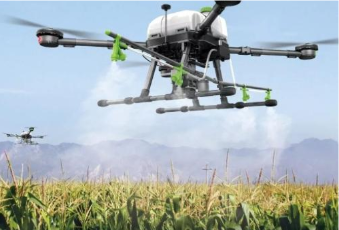 红足1—世足球网