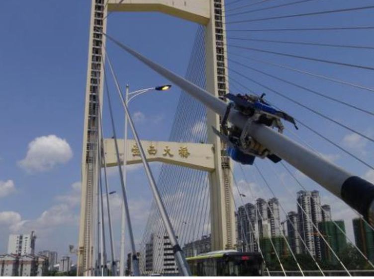 红足1—世足球网