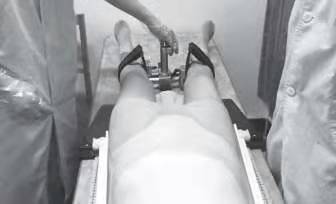 红足1—世足球网