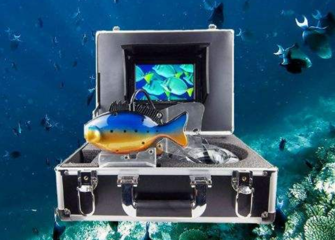 红足1—世足球网