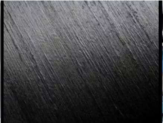 红足1—世足球网