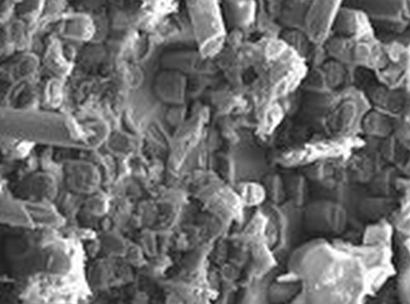 红足1—世足球网