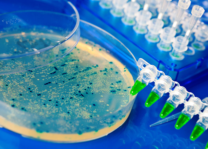 红足1—世足球网