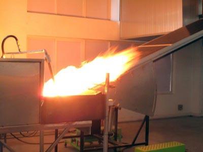 红足1—世足球网