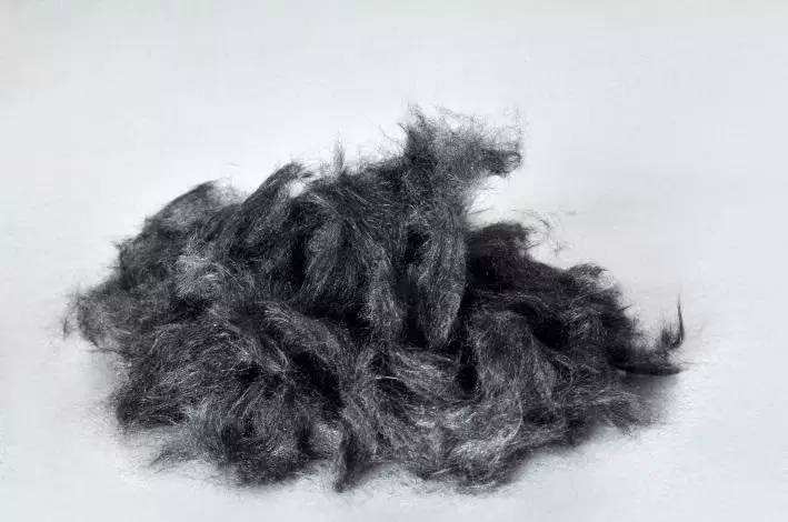 红足1—世足球网