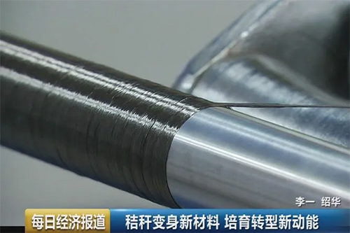 红足1—世足球网