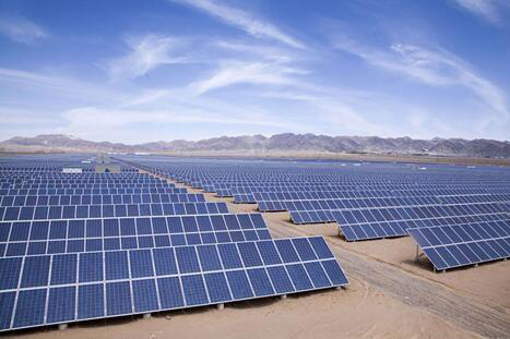 红足1—世足球网