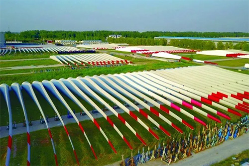 红足1—世足球网