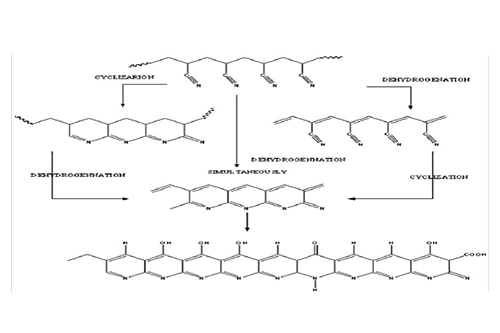 红足1—世足球网
