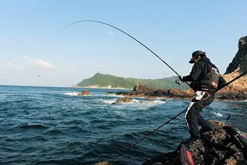 红足1—世足球网