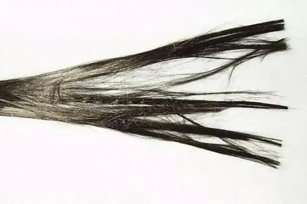 制备ug环球登陆前，出厂自带的上浆剂需谨慎处理