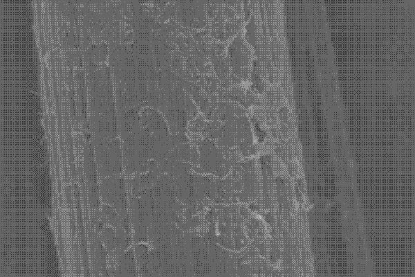 制备ug环球登陆前，出厂自带的上浆剂需谨慎处理