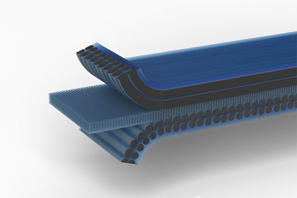 红足1—世足球网