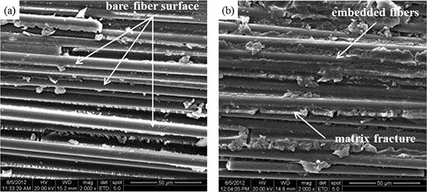 红足1—世足球网