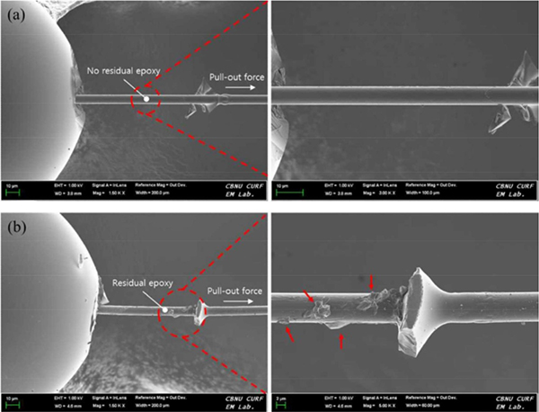 红足1—世足球网