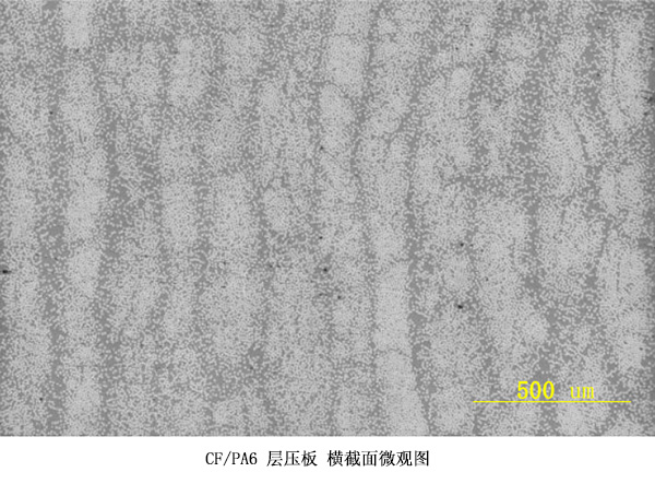 红足1—世足球网