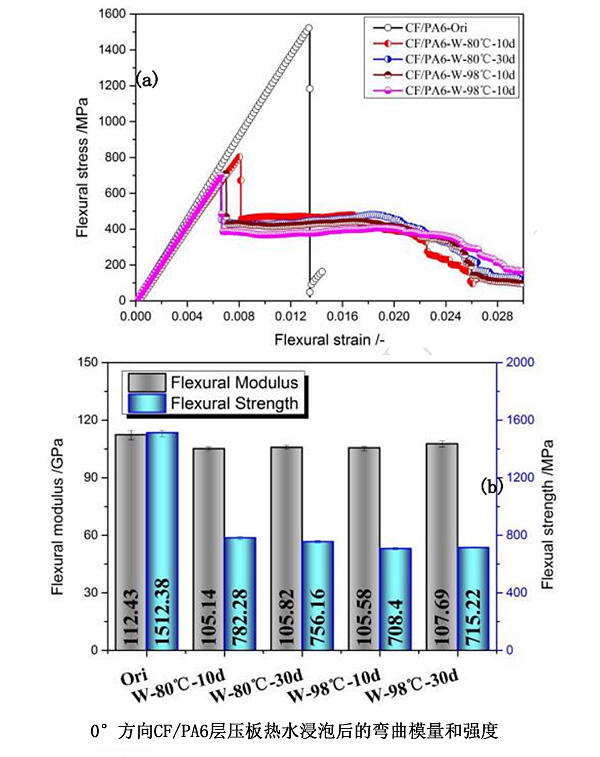 红足1—世足球网
