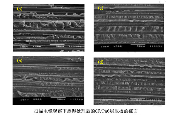 红足1—世足球网