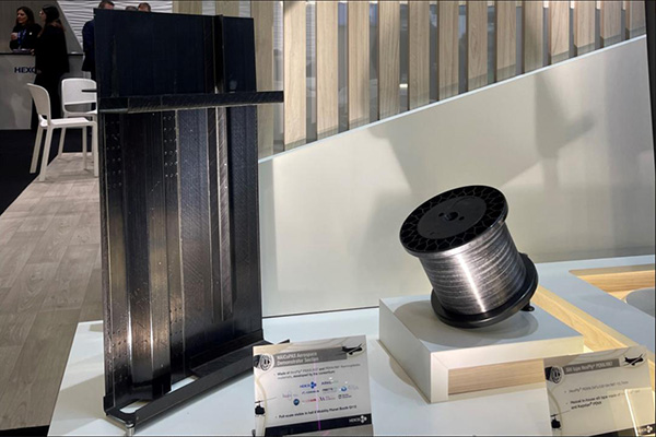 红足1—世足球网