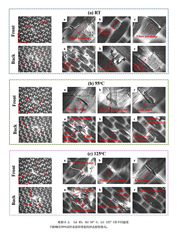 红足1—世足球网