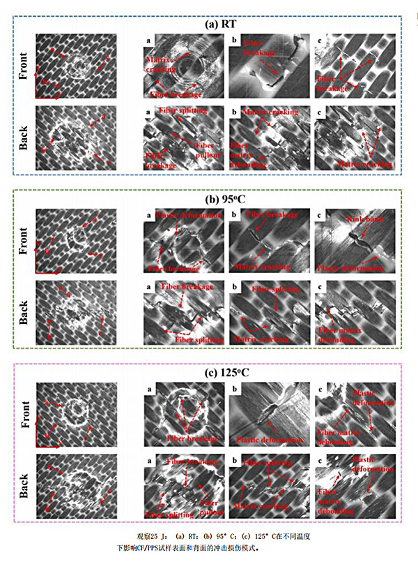 红足1—世足球网