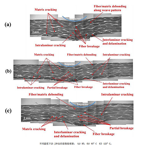 红足1—世足球网