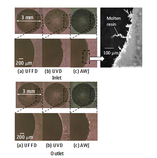 红足1—世足球网