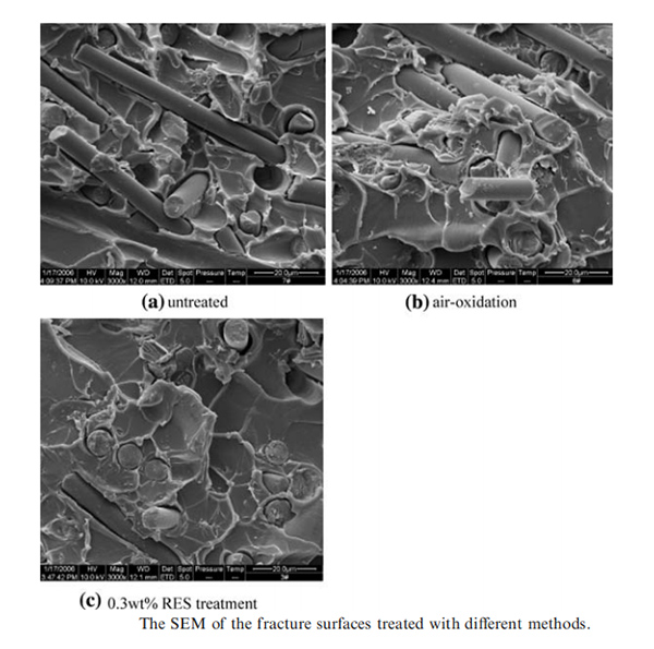 红足1—世足球网