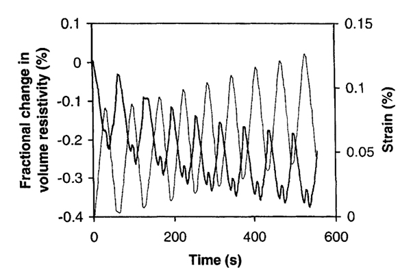 红足1—世足球网