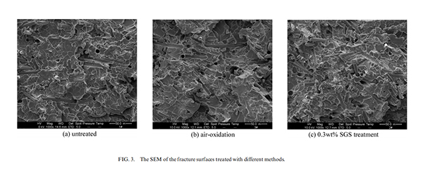 红足1—世足球网