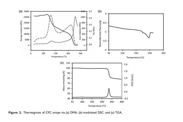 红足1—世足球网