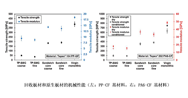红足1—世足球网