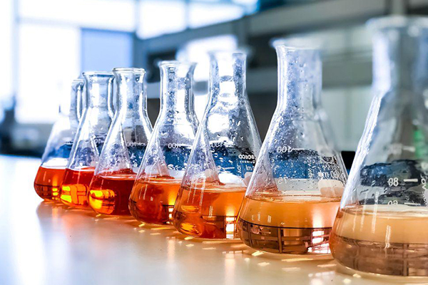 红足1—世足球网