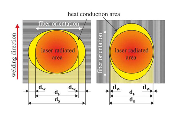红足1—世足球网
