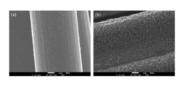 红足1—世足球网