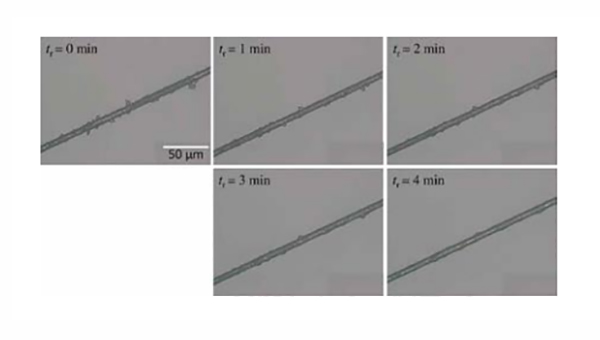 红足1—世足球网
