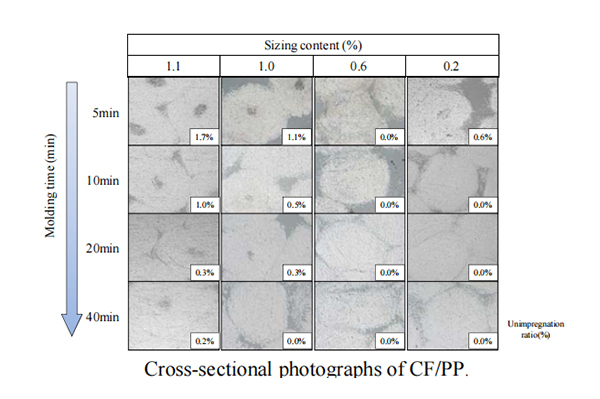 红足1—世足球网