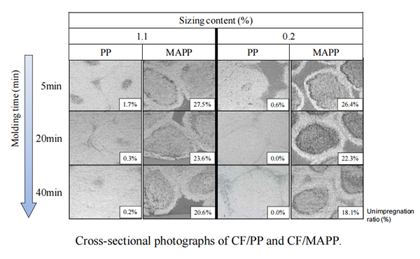 红足1—世足球网