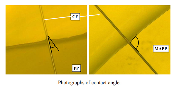 红足1—世足球网