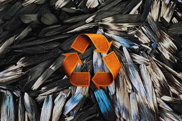 红足1—世足球网