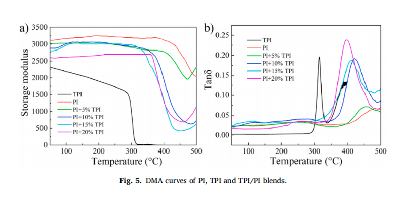 红足1—世足球网