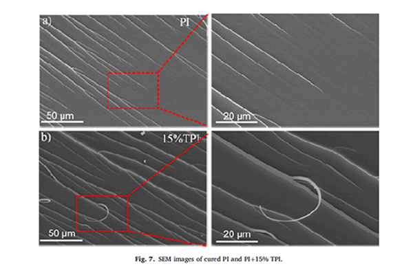 红足1—世足球网