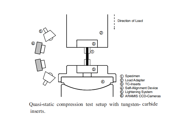 红足1—世足球网