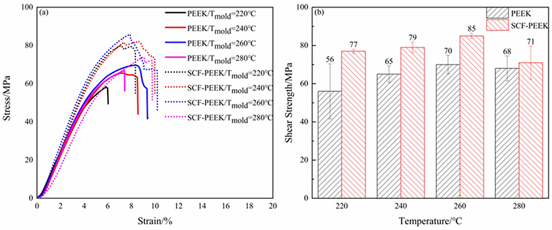 红足1—世足球网