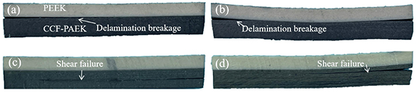 红足1—世足球网