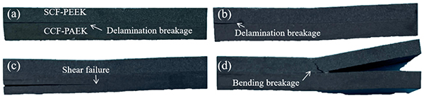 红足1—世足球网