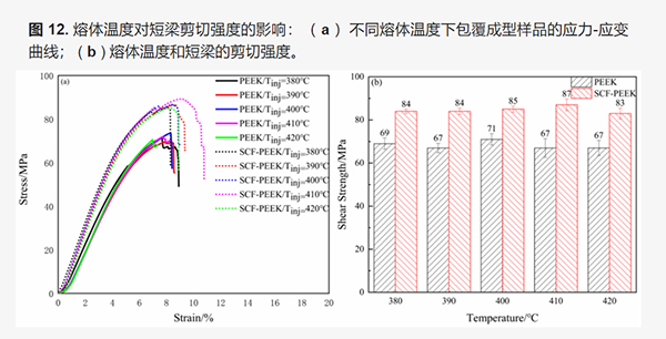 红足1—世足球网